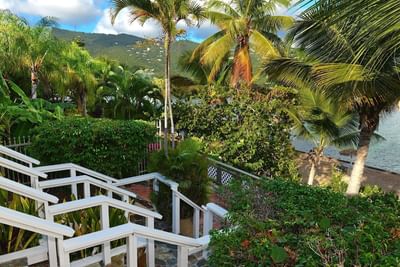White stairs through greenery at Lindbergh Bay Hotel, tropical charm at a St. Thomas boutique stay with tropical gardens