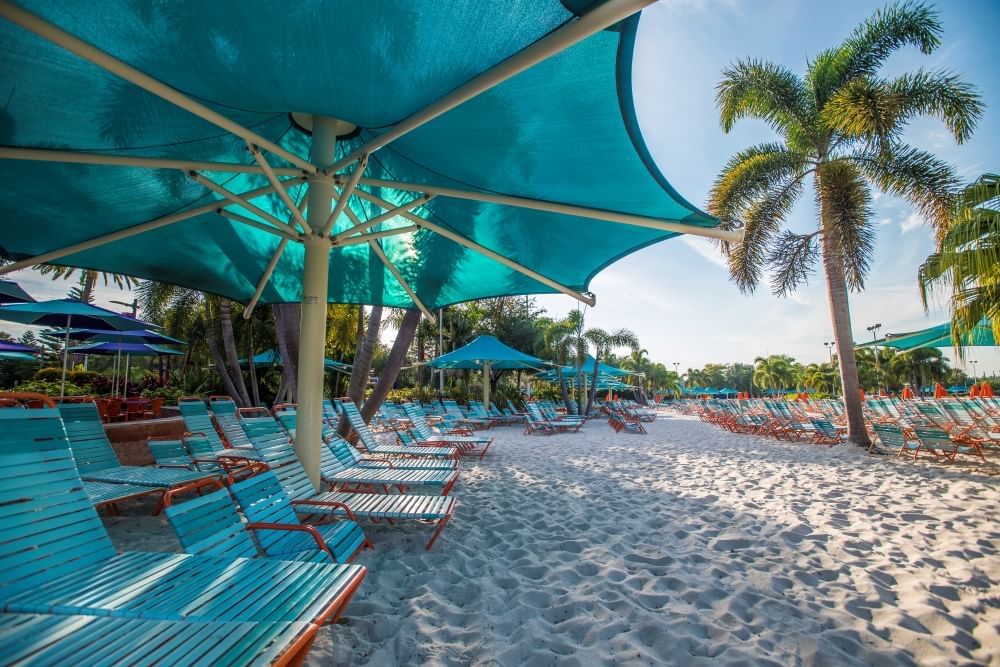 A sandy beach with blue beach chairs, large blue umbrellas, and palm trees. 