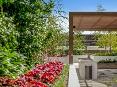 Outdoor garden with canopy, red flowers, greenery, and a covered area with a barbeque.