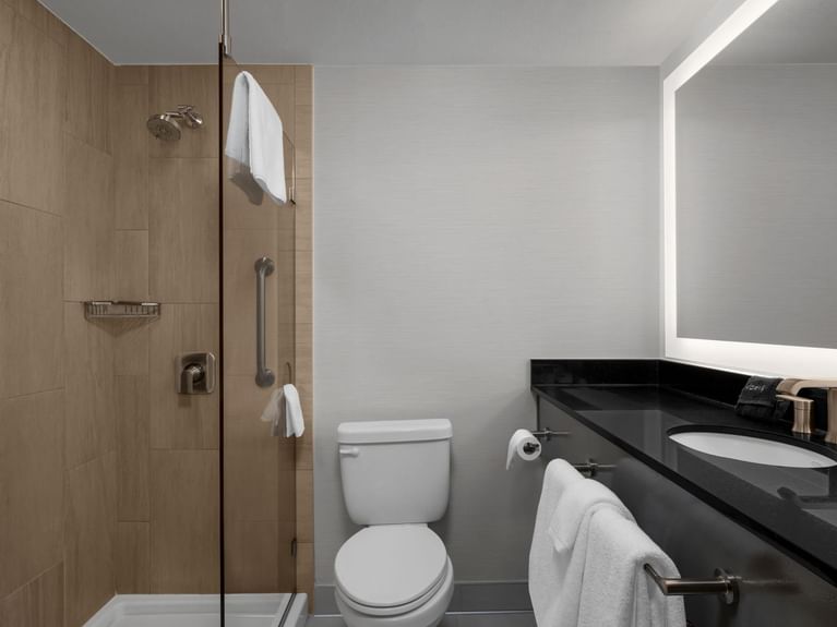 Capitol Double Queen room bathroom with a shower area and a large marble glazed vanity area at Hotel 43 Boise