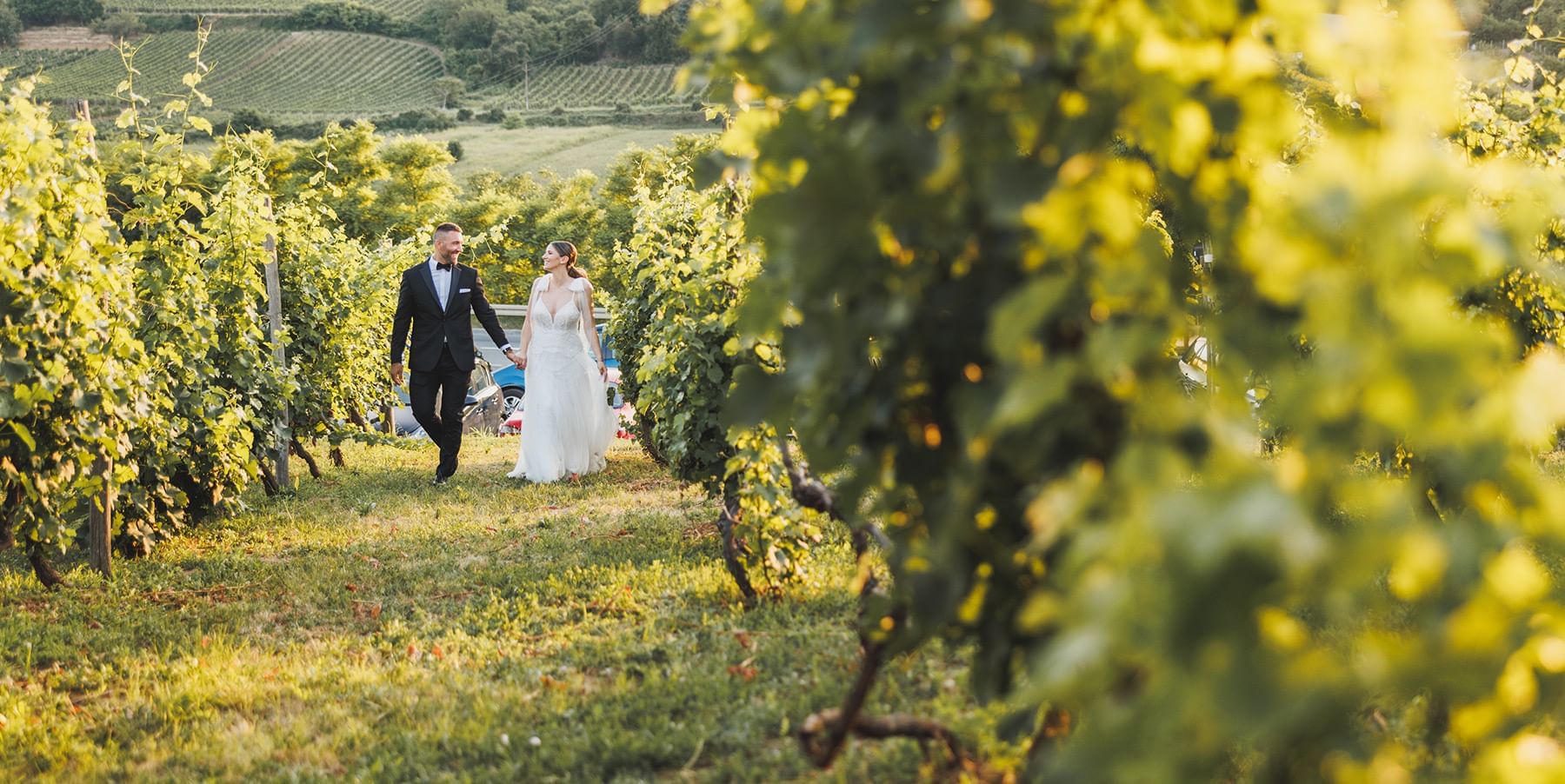 Wedded couple walking hand-in-hand through a sunlit vineyard near Coast Penticton Hotel