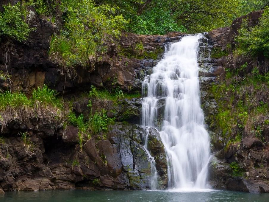 Waimea Falls surrounded by greenery near Waikiki Resort Hotel by Sono