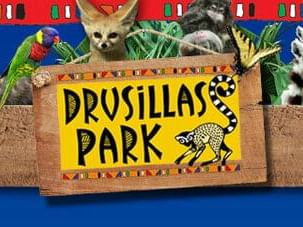 Name board of Drusillas Park near The View Eastbourne