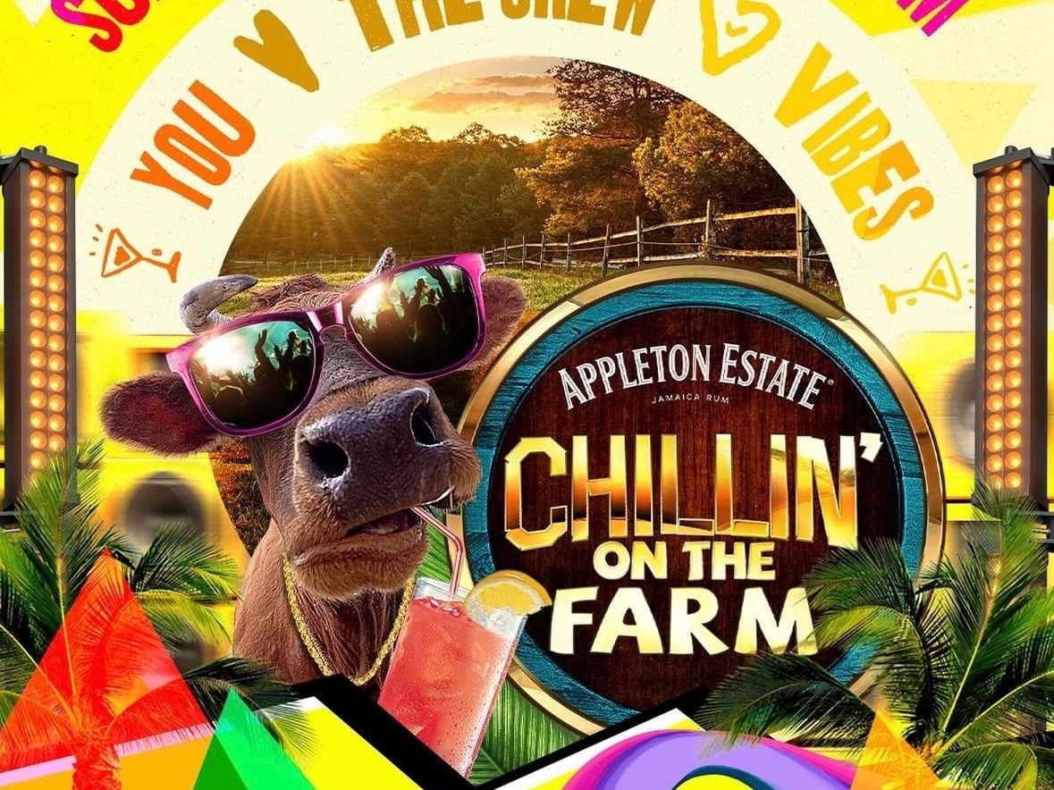 Chillin on the Farm party flyer showcasing a cow with drink featuring live music Kingston at Jamaica Pegasus Hotel