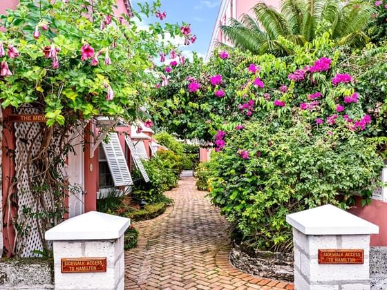 Flowers bloomed in the garden area at Royal Palms Hotel