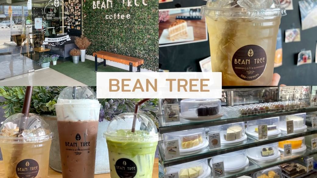 ร้าน Bean Tree เพชรบูรณ์ - แนะนำร้านเด็ดใกล้โรงแรมฮ็อป อินน์ เพชรบูรณ์