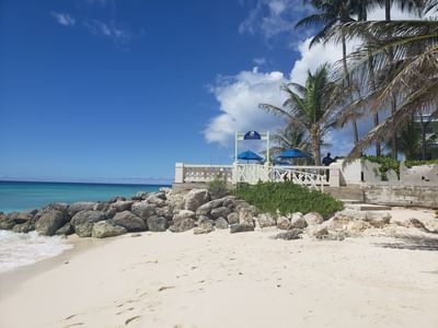 Beach with pristine white sand and a clear blue sky at Dover Beach Hotel