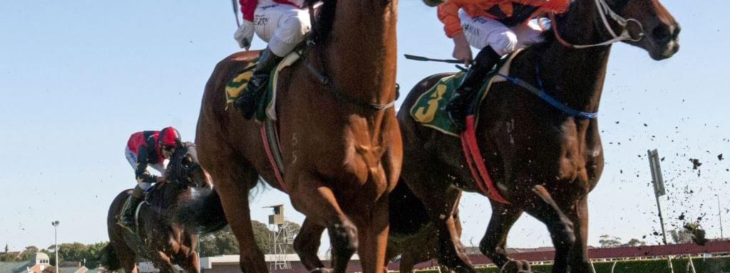 Rosehill Gardens racecourse near Novotel Sydney Parramatta, featuring jockeys in bright silks on a sunny grass track