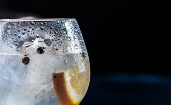 Close-up of a Gin Tonic cocktail in The Kitchen at Pensativo House Hotel