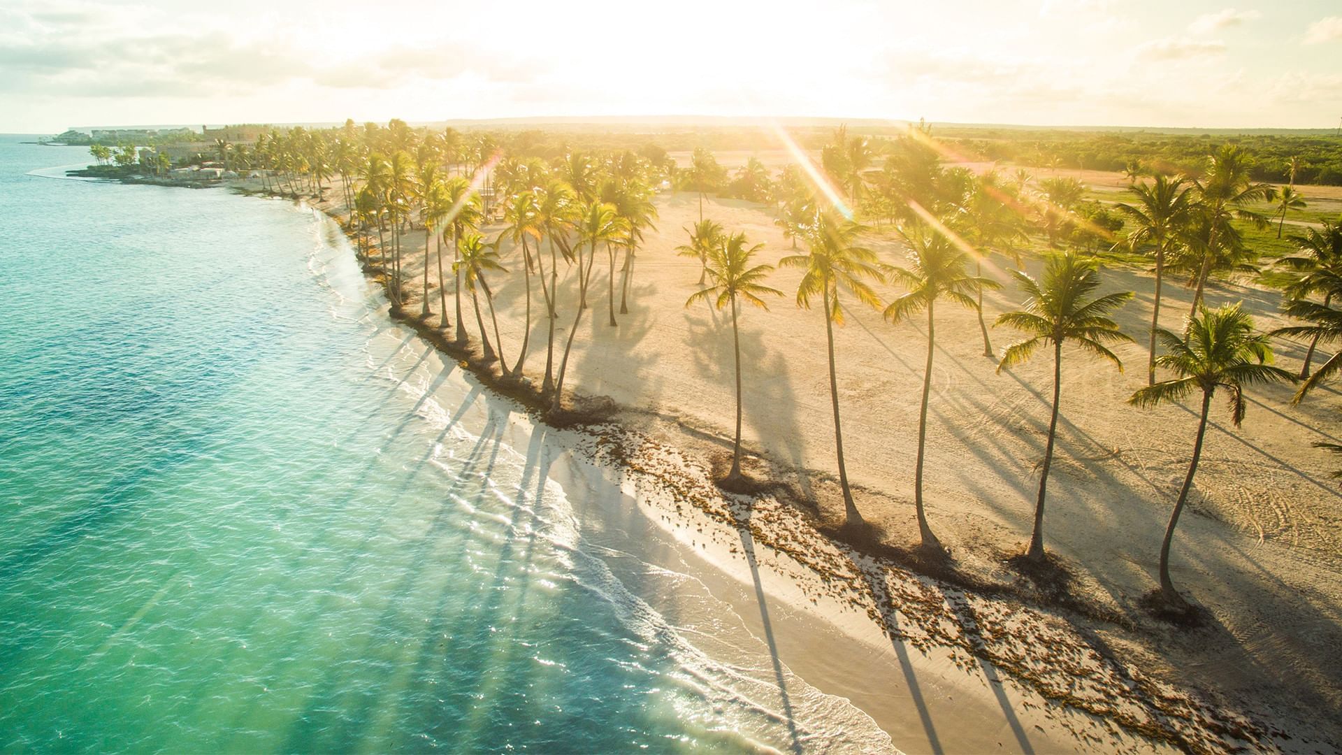Punta Cana Live Aqua Resorts