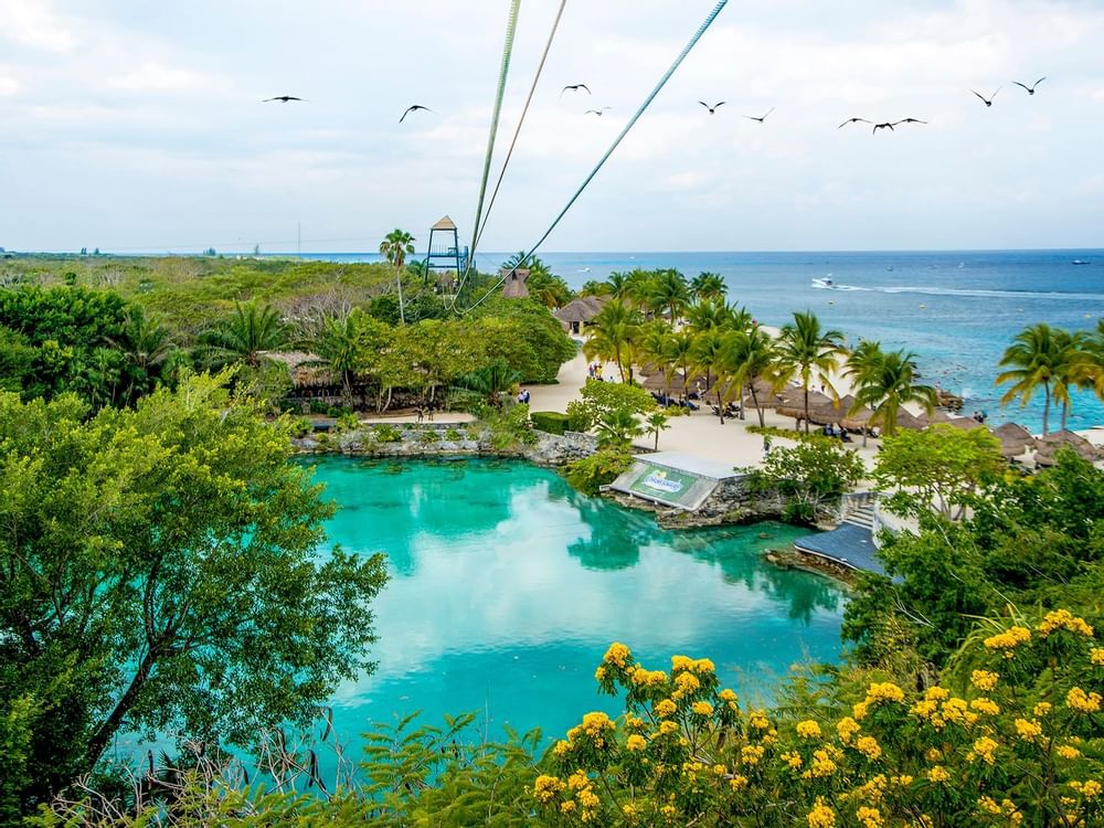 Chankanaab park near the La Colección Resorts