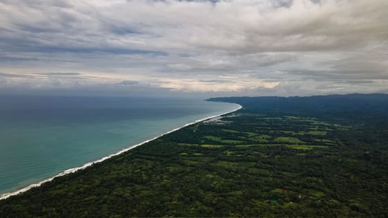 Aerial view of Peninsula de Osa near Playa Cativo Lodge