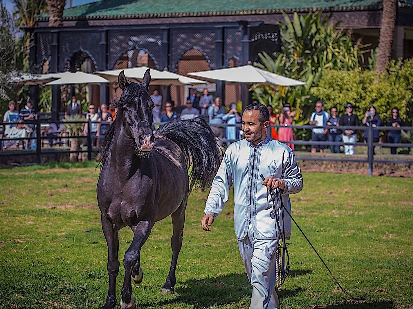 Sunday brunch at Selman Marrakech Hotel