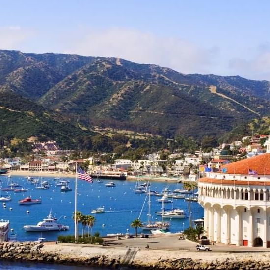 Coastal town with a building, boats in blue water, and mountains in the background at Catalina Island Company