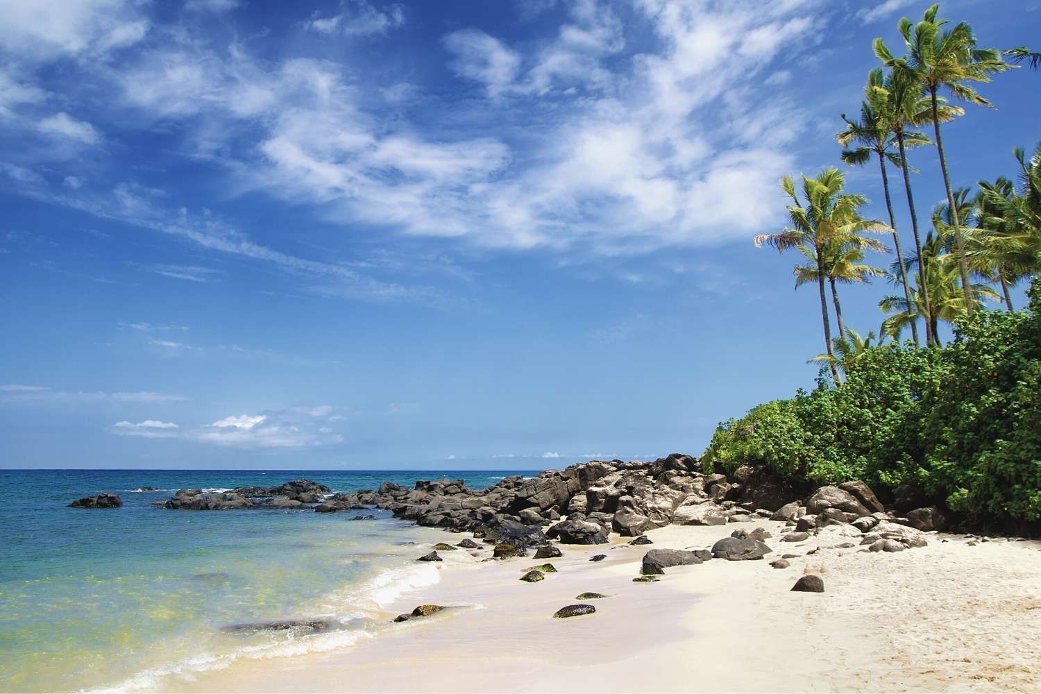 Distant view of Laniakea Beach on a sunny day near Waikiki Resort Hotel