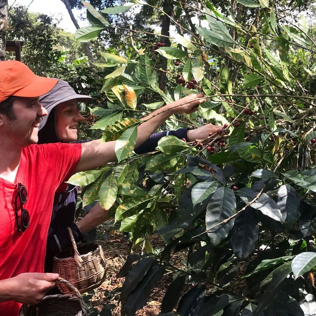 tours Cafe y Cacao en Aguas Calientes