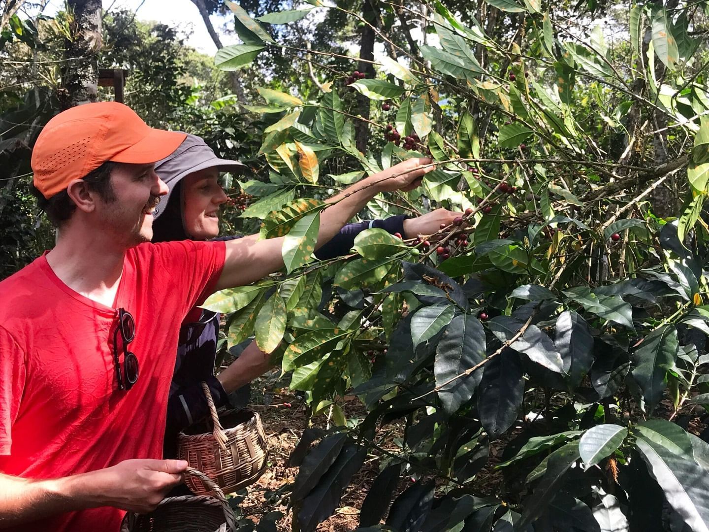 tours Cafe y Cacao en Aguas Calientes