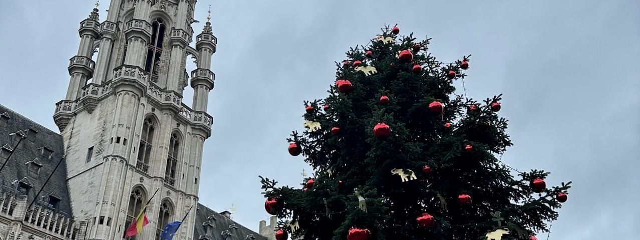 Christmas tree grand place