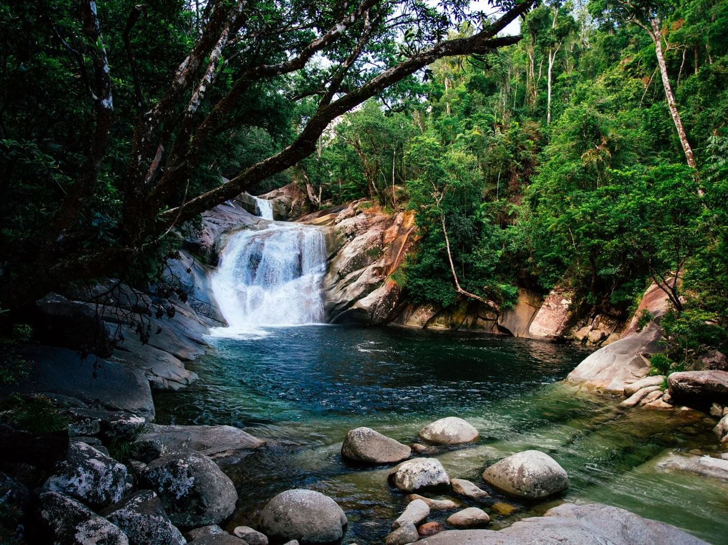 Splendid Josephine Falls near Pullman Cairns
