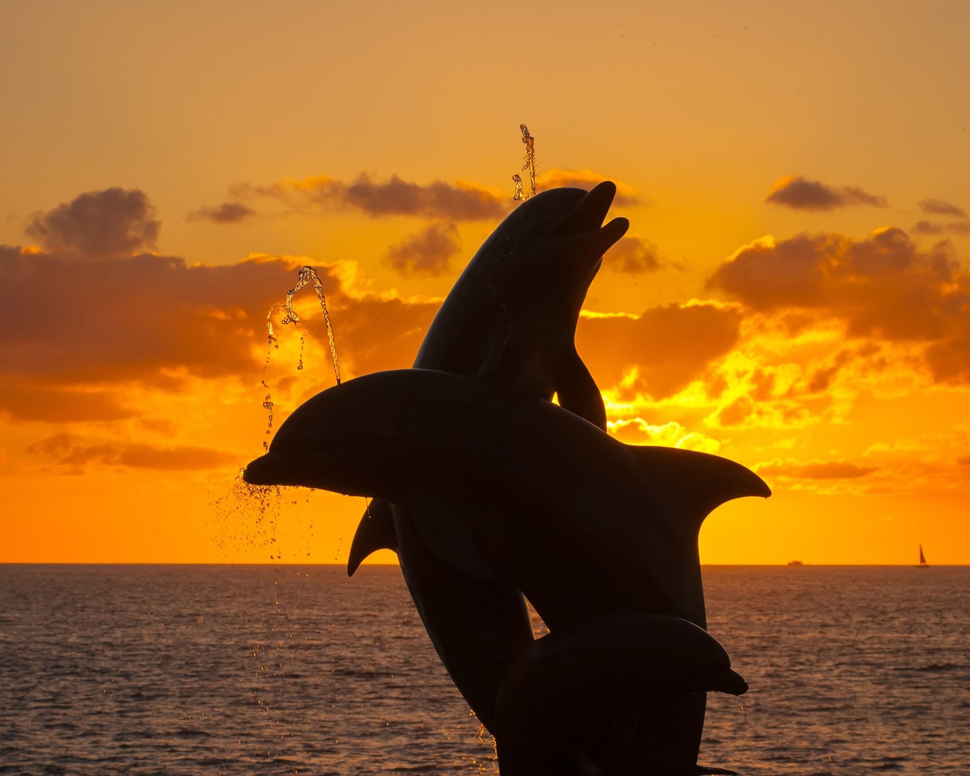 Two dolphins leaping out of the water in silhouette against a vibrant golden sunset over the ocean in Puerto Vallarta, Mexico, with water droplets cascading from their bodies, dramatic clouds illuminated in shades of orange and yellow, and a sailboat visible on the horizon.