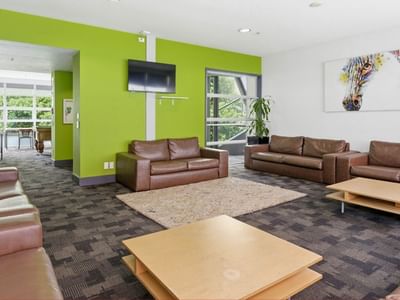 Brown couches and wooden tables in a green and white lobby at Student Living Auckland Anzac.