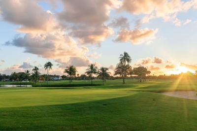 Sunset across golf greens with palm trees and fairways beneath rosy clouds in Miami Lakes Golf Club at Miami Lakes Hotel