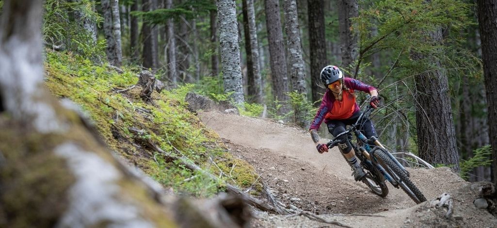 Mountain biker riding a forest trail in Whistler