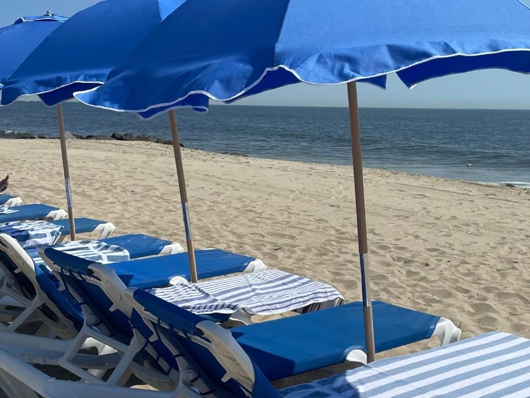 Blue beach chairs and umbrellas on the beach