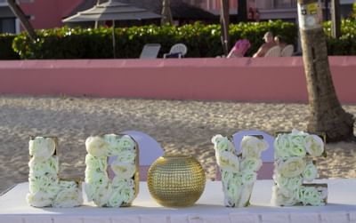 Love Sign Wedding Décor