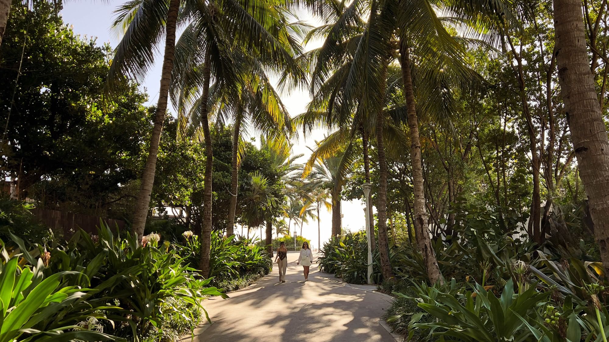 Riviera Suites South Beach — photo 4