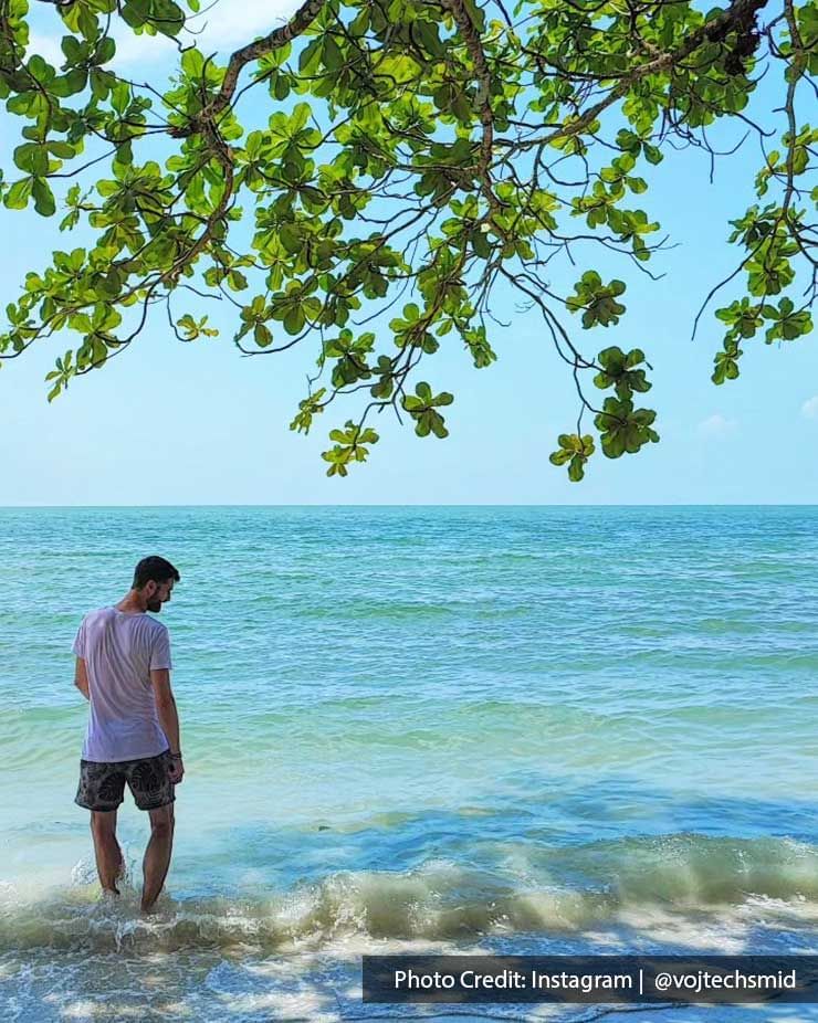 A man is standing in the shallow seawater on the beach at Penang National Park - Lexis Suites Penang