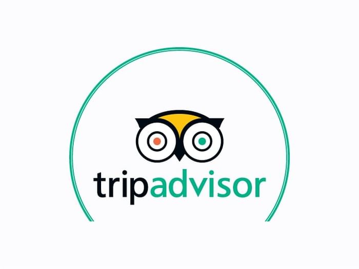 The official logo of Tripadvisor used at Hotel Isla Del Encanto