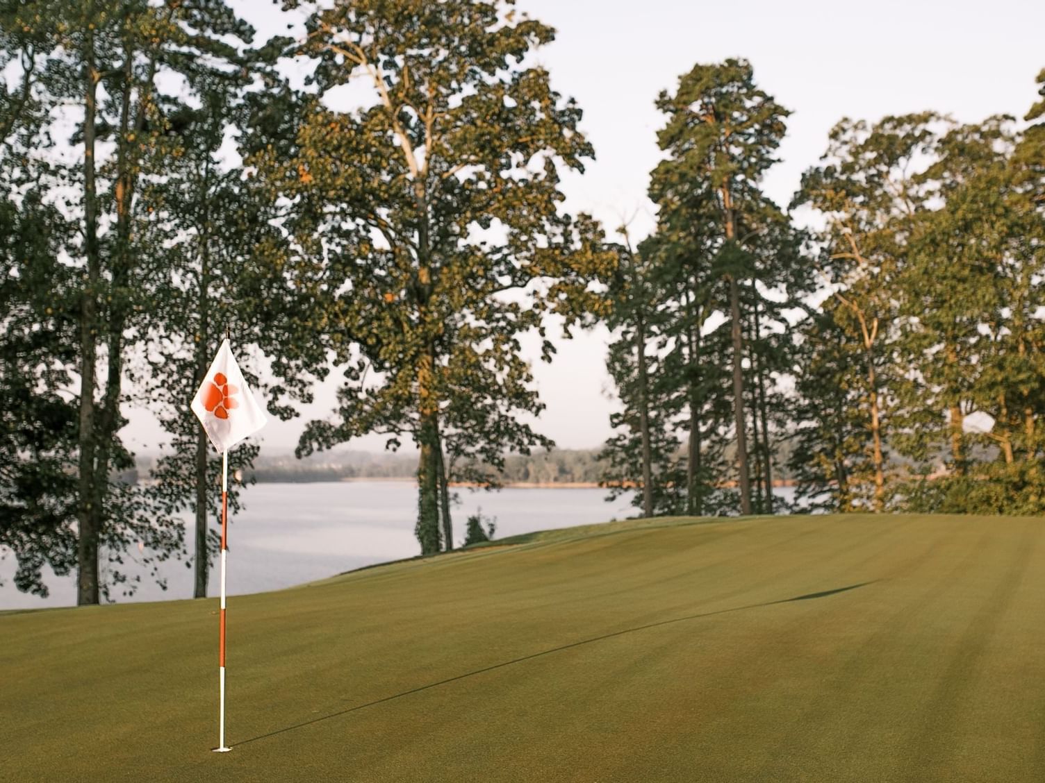 view of lake and trees with flagpole on golf course