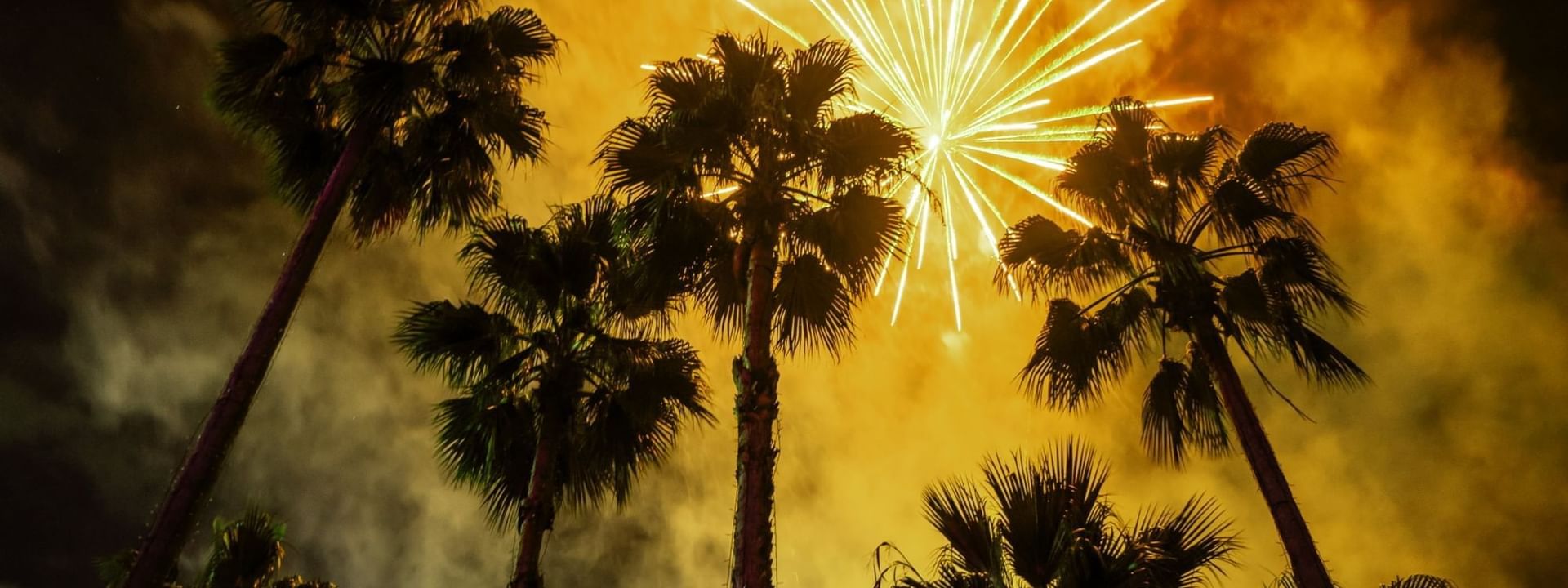 Fireworks exploding in a golden cloud above silhouetted palm trees, near the Marquis Los Cabos Resort.