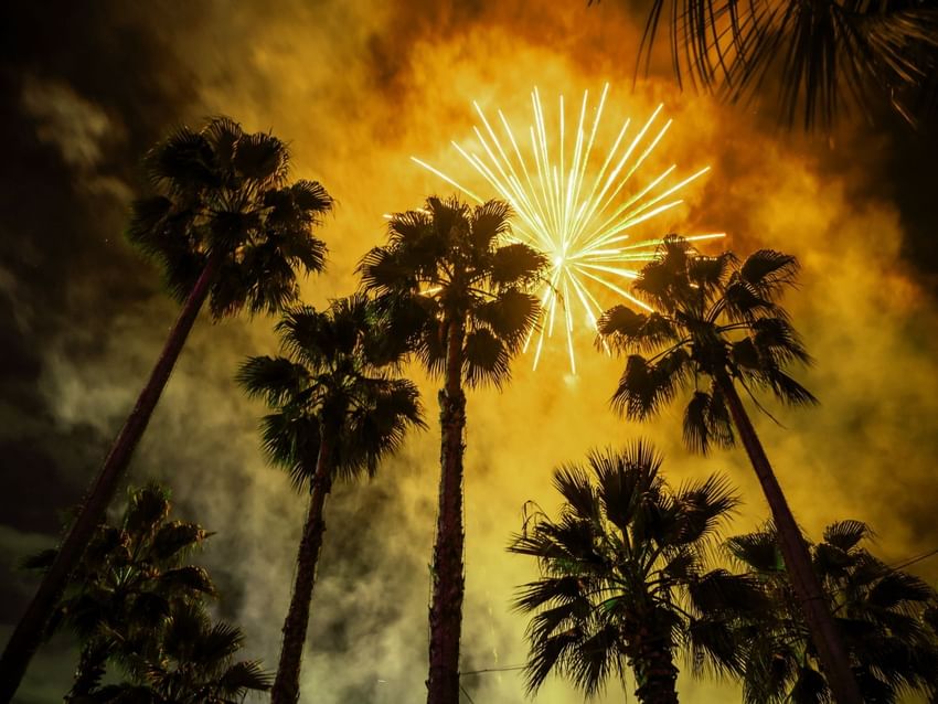 Fireworks exploding in a golden cloud above silhouetted palm trees, near the Marquis Los Cabos Resort.