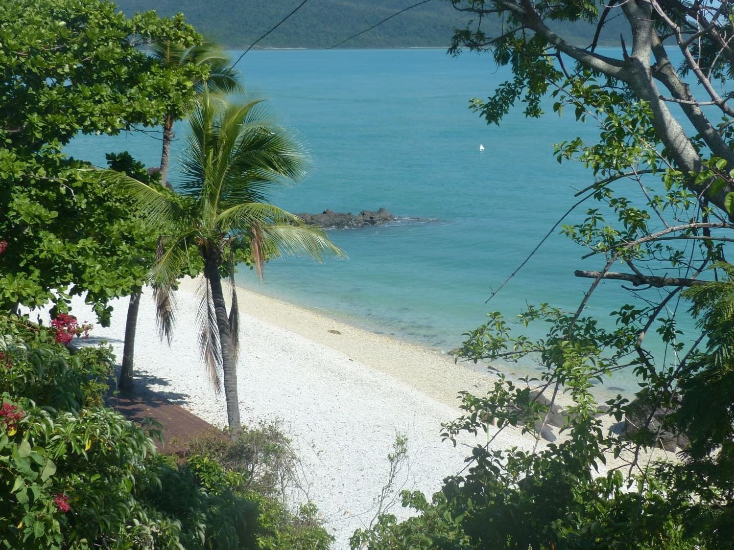 Lovers Cove Bar in Queensland Daydream Island Resort