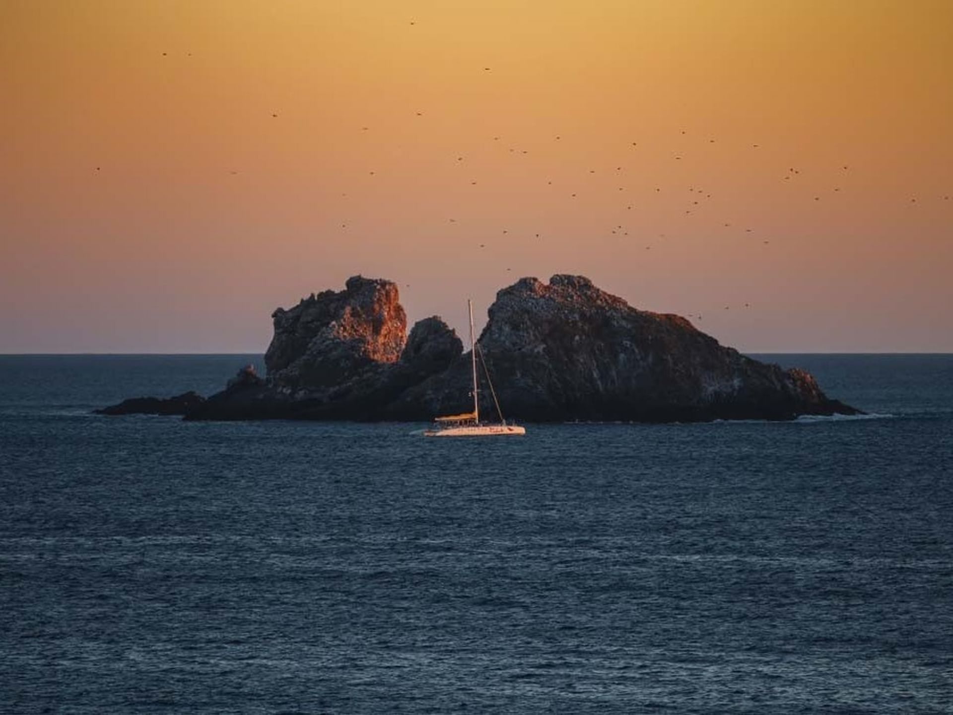 Landscape view of boat sailing near Cala de Mar Resort