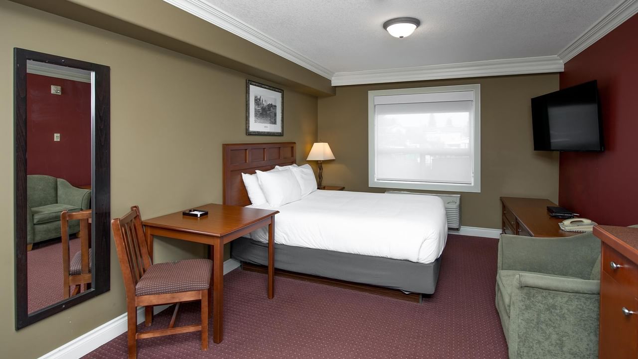 Coast Edson Hotel guest room with queen bed, wooden desk, wall-mounted TV, and burgundy accent wall.
