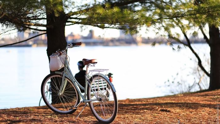 A bicycle stopping at the lakeside near The Original Hotels