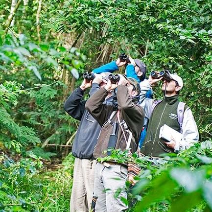 Men looking from binoculars at the woods near DOT Hotels
