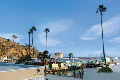 Distant view of Avalon Bay under a blue sky near Pavilion Hotel Catalina Island