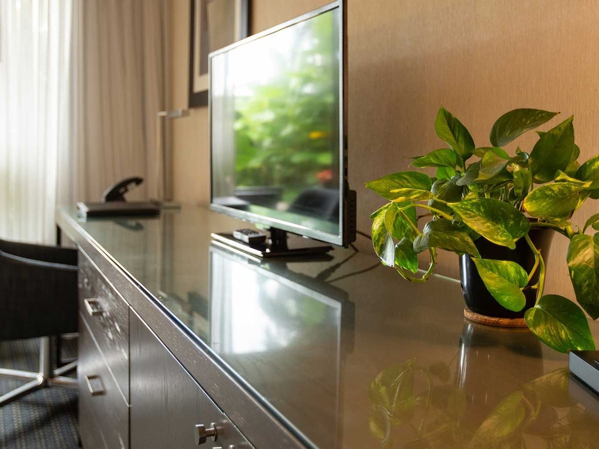 Coast King with Garden View - Work Desk
