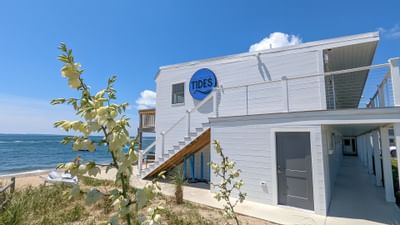 A flowering plant & hotel exterior at Falmouth Tides