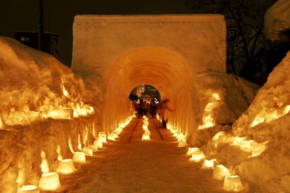 Light path in Old Temiya Line, an event near Grand Park Otaru