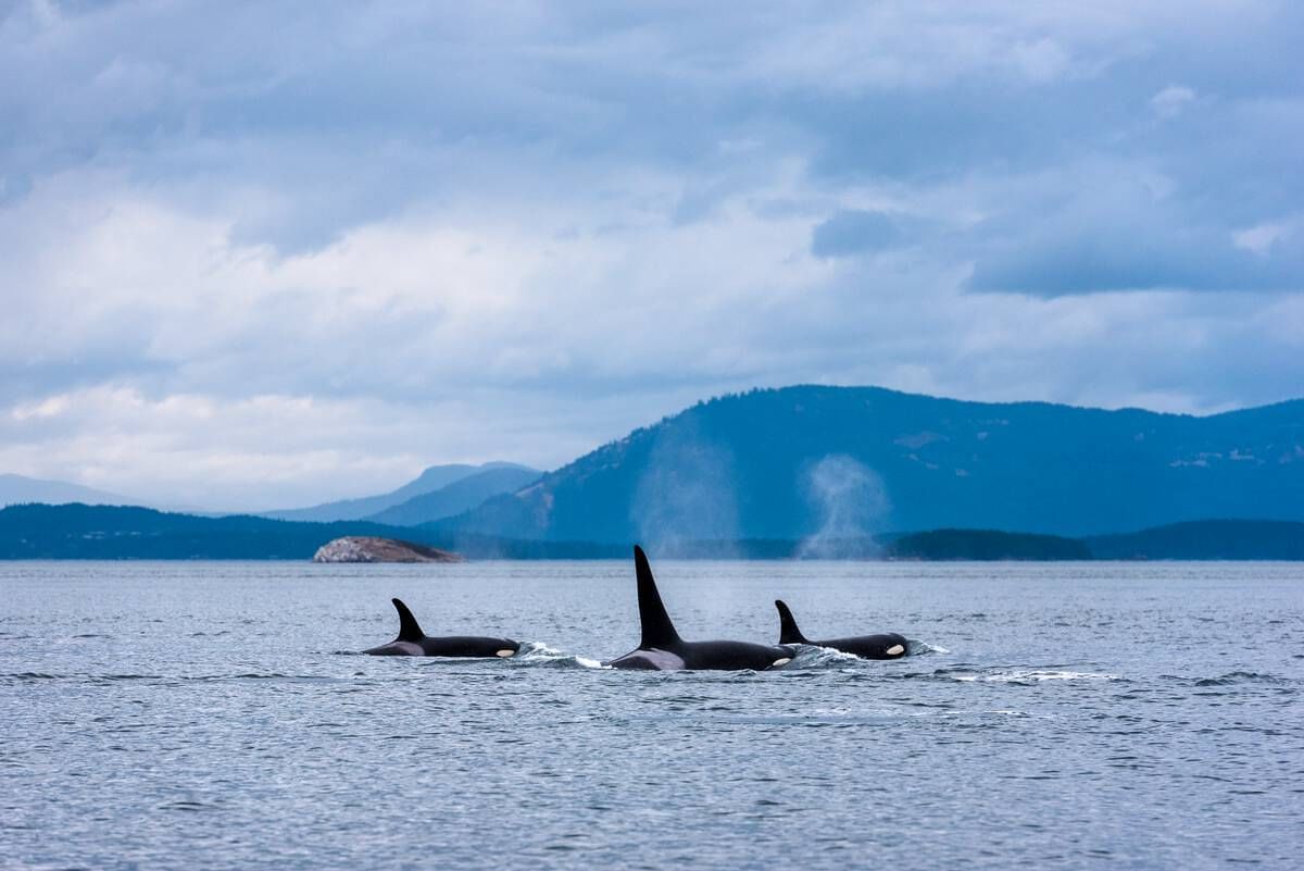 West Coast Vs East Coast: Which Is Canada’s Best?