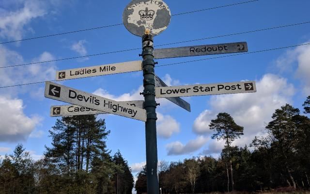 Swinley forest direction sign