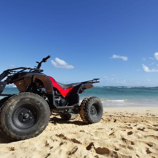 atv_standard