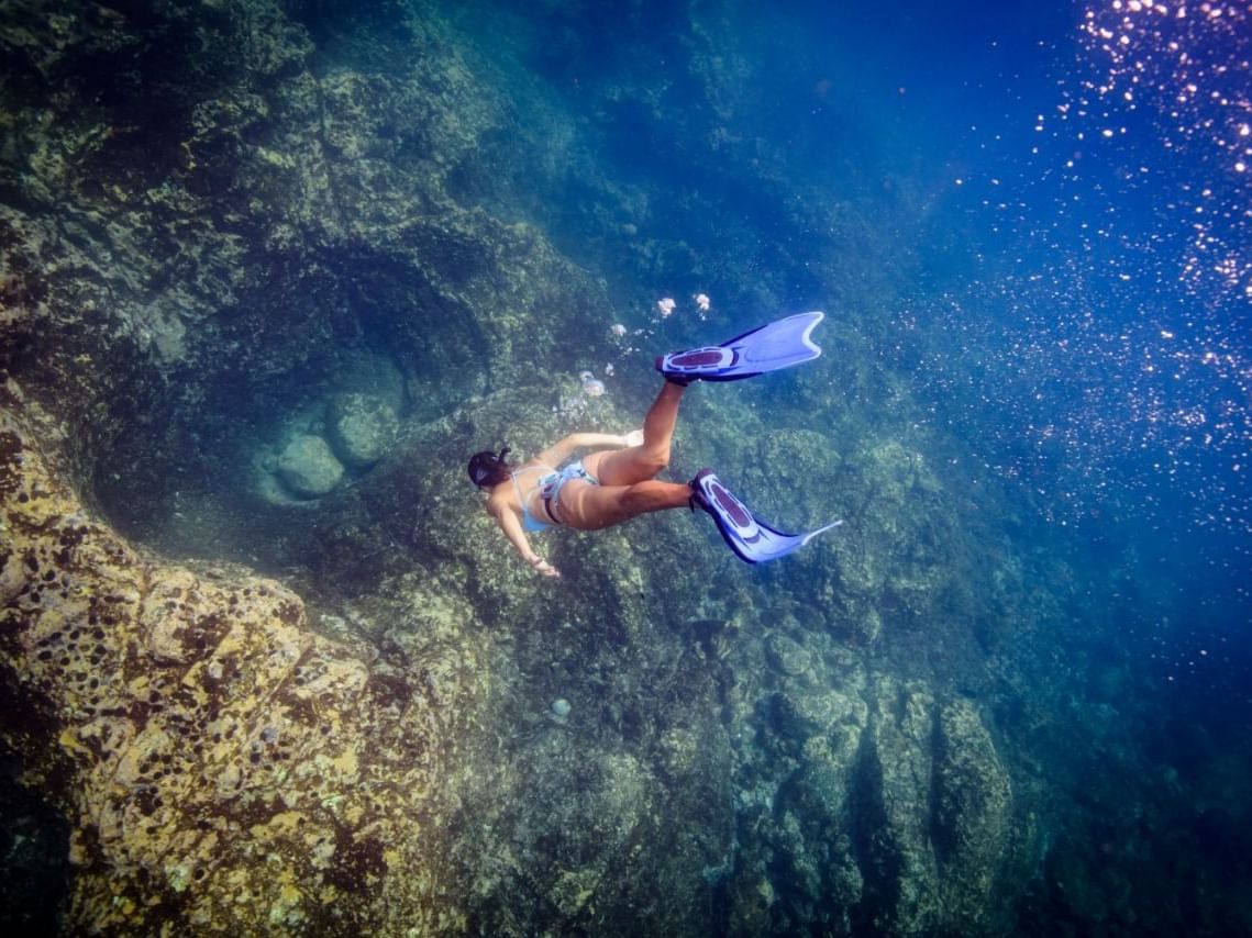 Scuba diving Tamarindo  Guanacaste