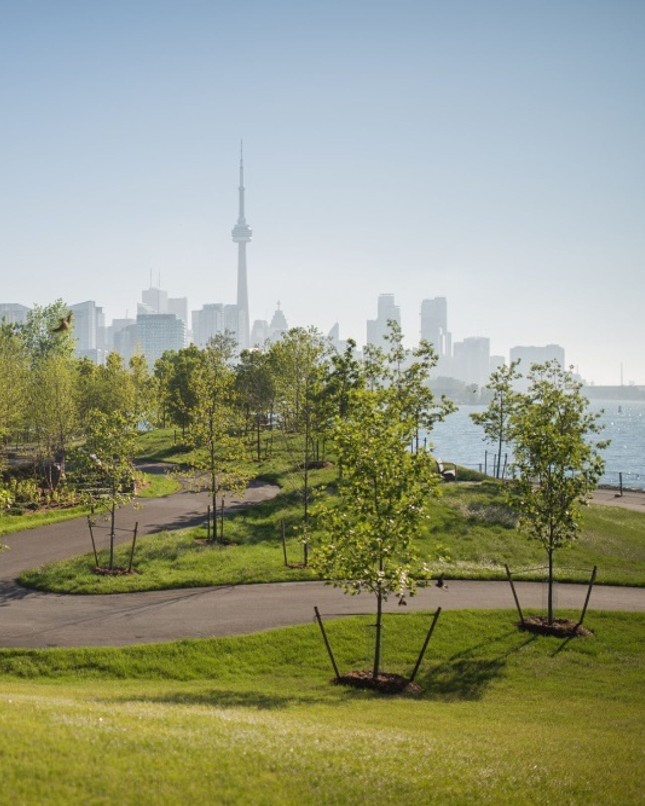 Waterfront park with winding paths surrounded by young trees under clear skies and Toronto skyline near Hotel X Toronto