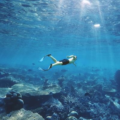 Scuba diver diving in the ocean near Falkensteiner Hotels